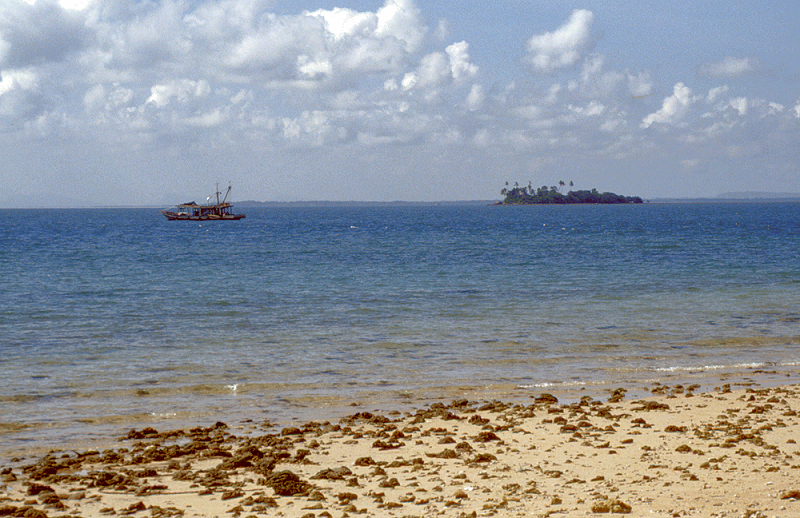 829_Op het strand van Pulau Selinkan.jpg